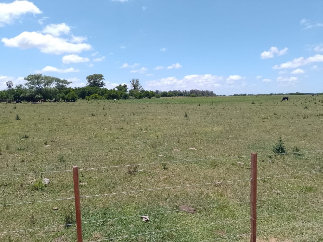 VENTA 12has DE CHACRA, FRENTE DE RUTA 56 .