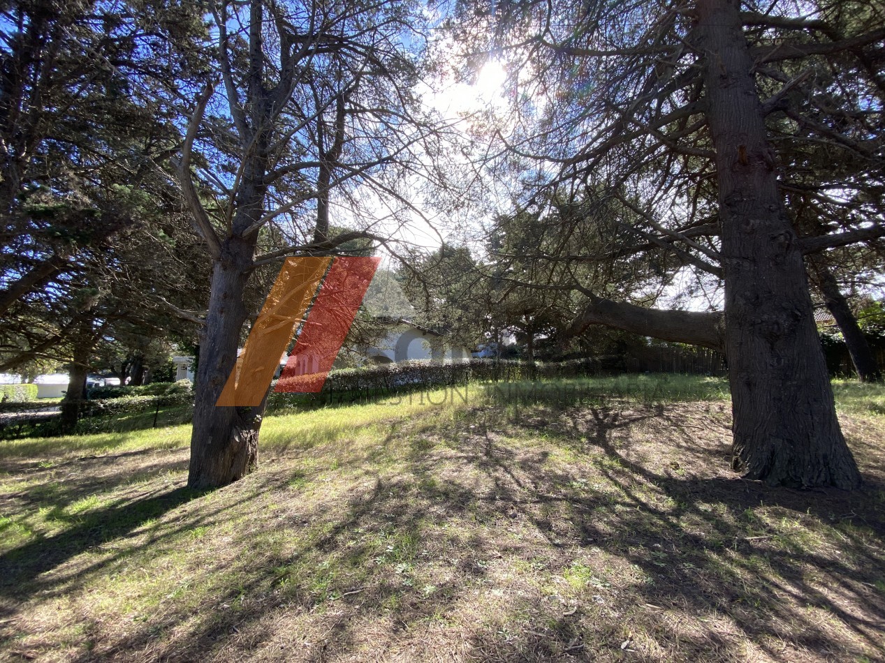 HERMOSO LOTE NIVELADO EN ESQUINA