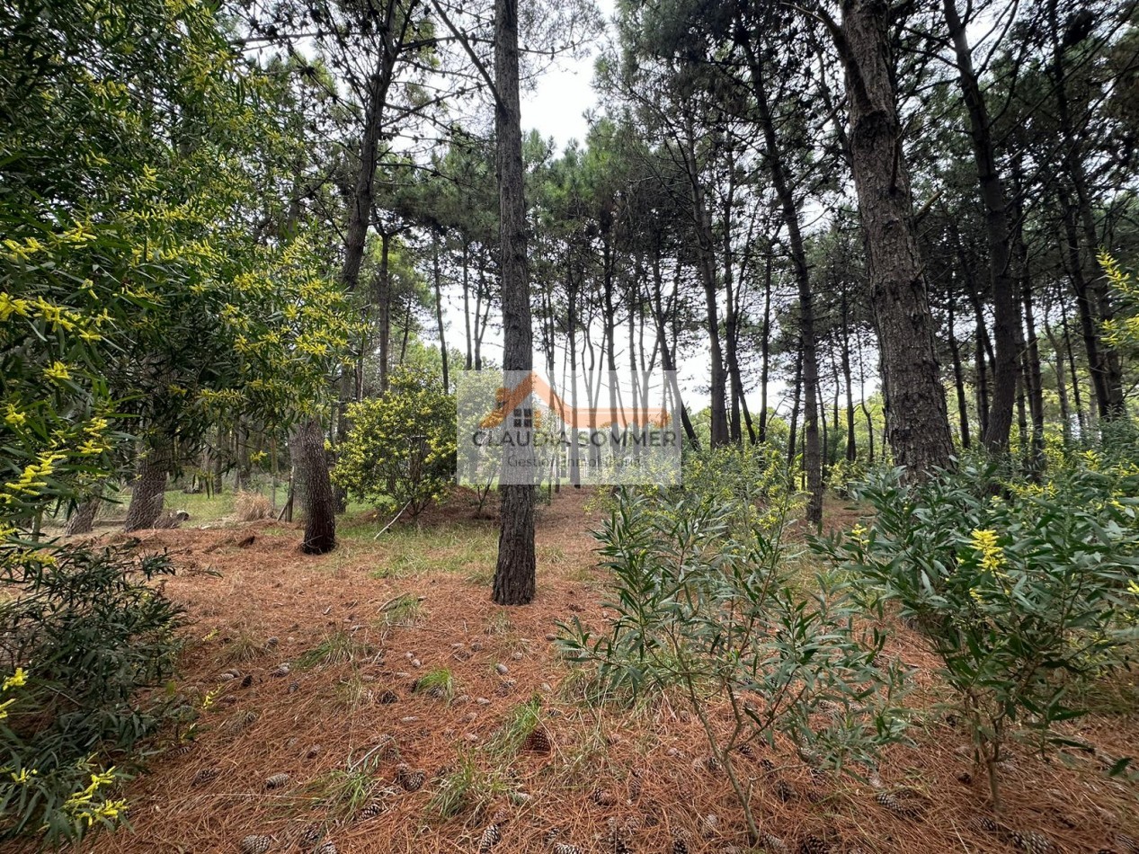 LOTE EN PINAMAR NORTE A UNA CUADRA DEL MAR !!!