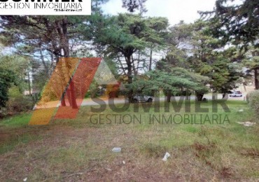 HERMOSO LOTE NIVELADO EN ESQUINA